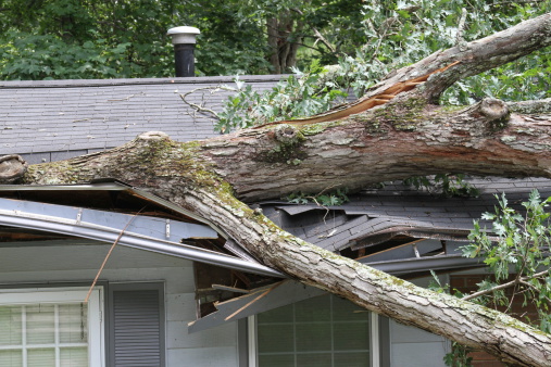 after storm damage solutions